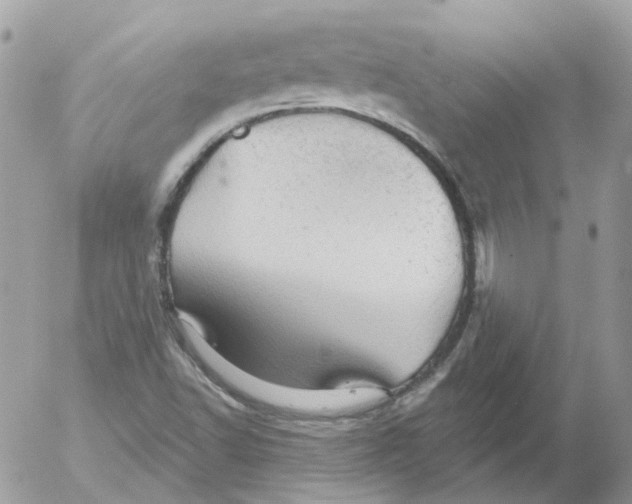 X0000052641502200507292252