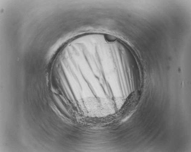 X0000052641503200507292252