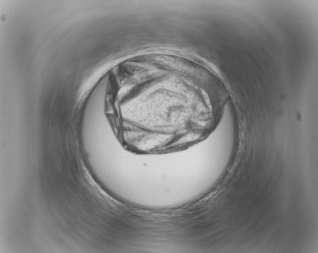 X0000052641504200507292252