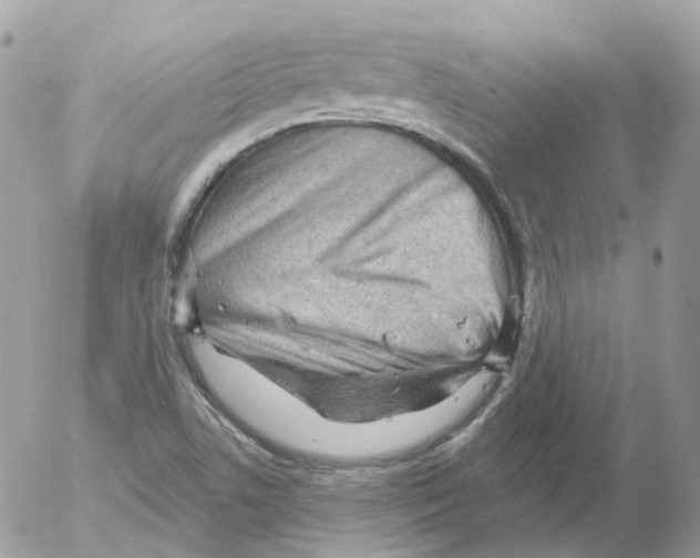 X0000052641506200507292252