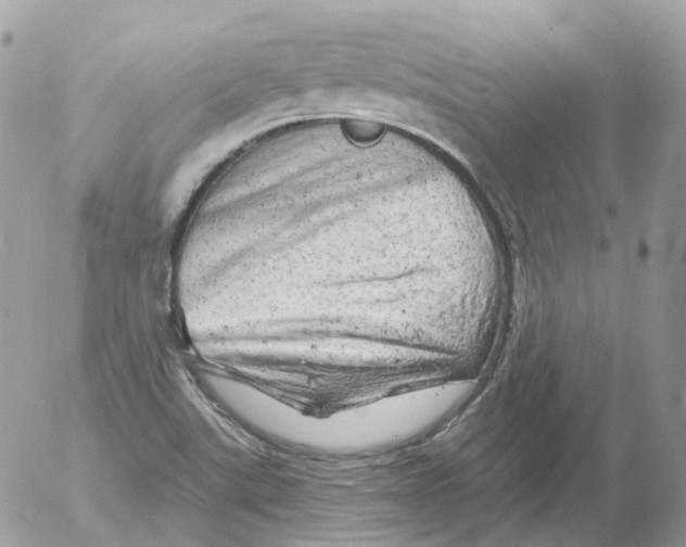 X0000052641507200507292252