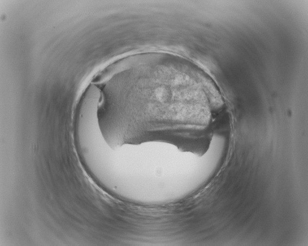 X0000052641508200507292252