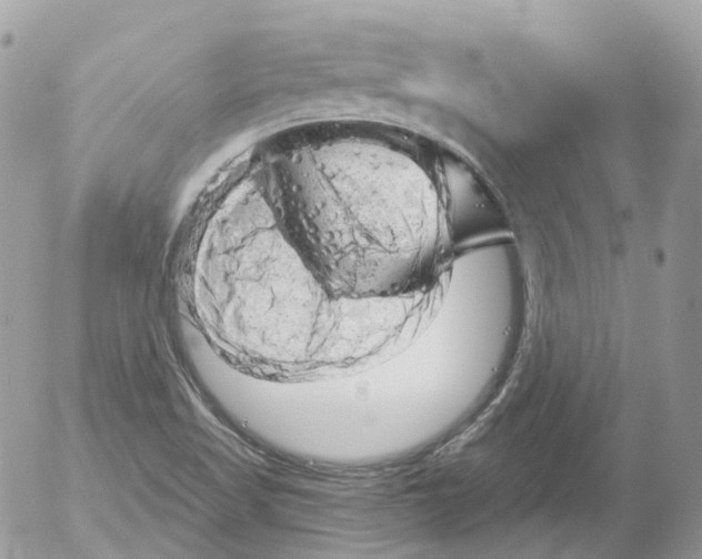 X0000052641509200507292252