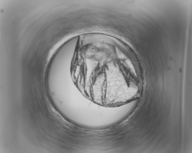 X0000052641510200507292252