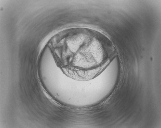 X0000052641511200507292252