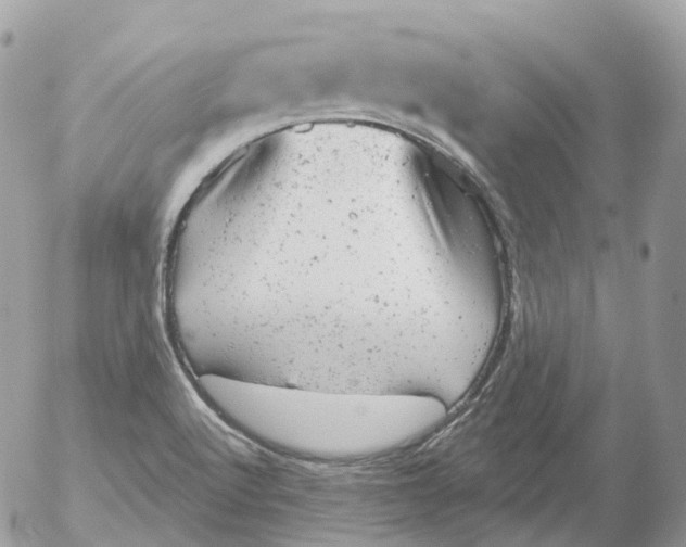 X0000052641512200507292252