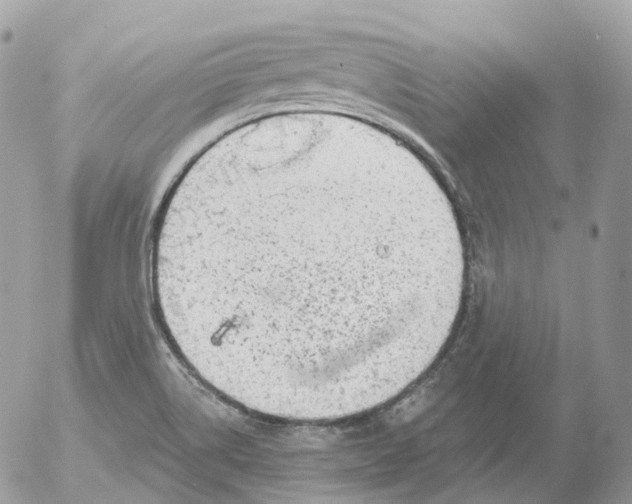 X0000052641514200507292252