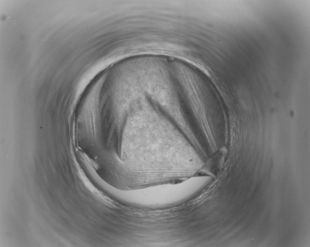 X0000052641515200507292252