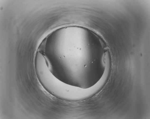 X0000052641516200507292252