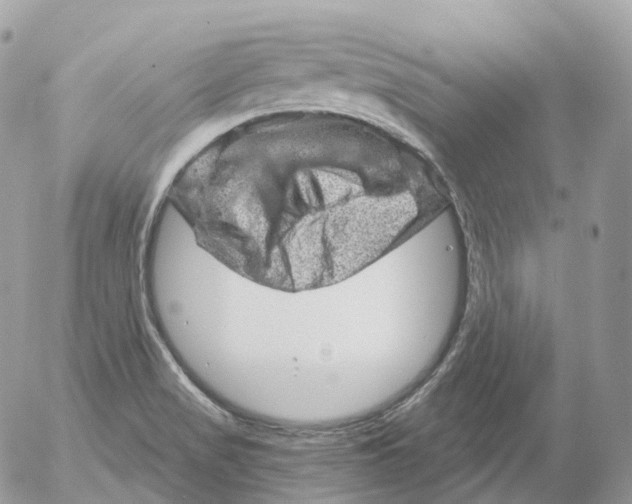 X0000052641517200507292252