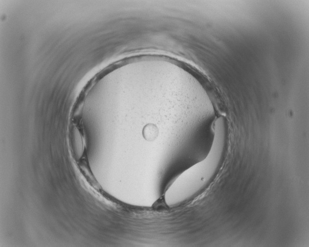 X0000052641518200507292252