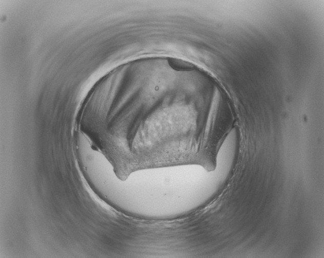 X0000052641519200507292252