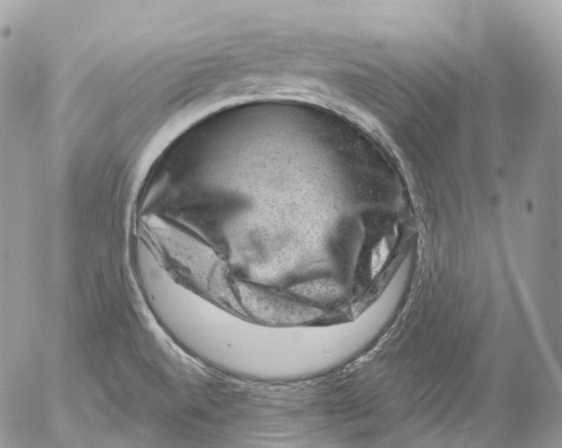 X0000052641520200507292252