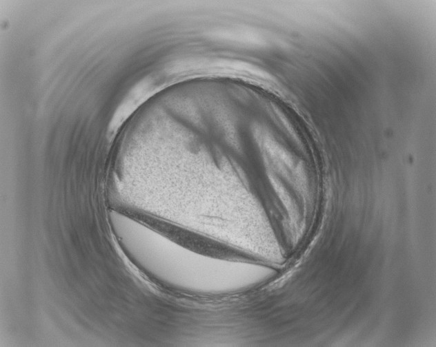 X0000052641521200507292252