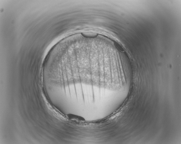 X0000052641522200507292252