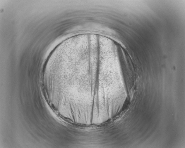 X0000052641523200507292252