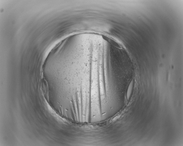 X0000052641524200507292252