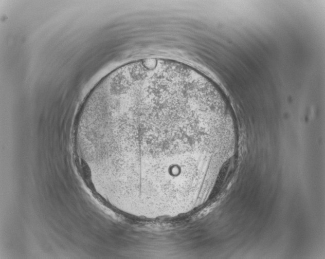 X0000052641525200507292252