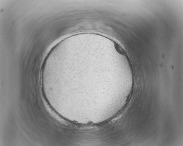 X0000052641526200507292252