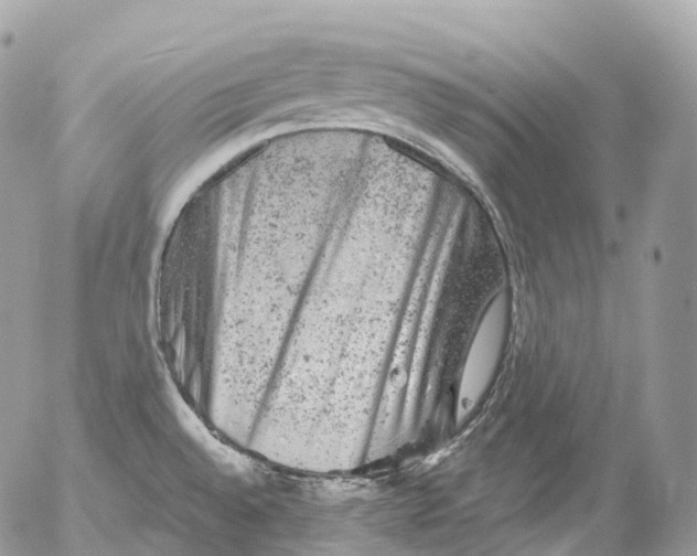 X0000052641528200507292252