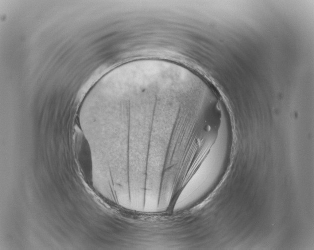 X0000052641529200507292252