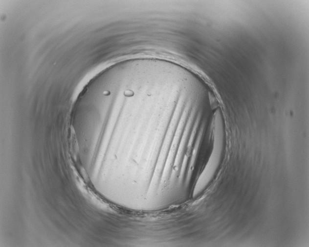 X0000052641530200507292252