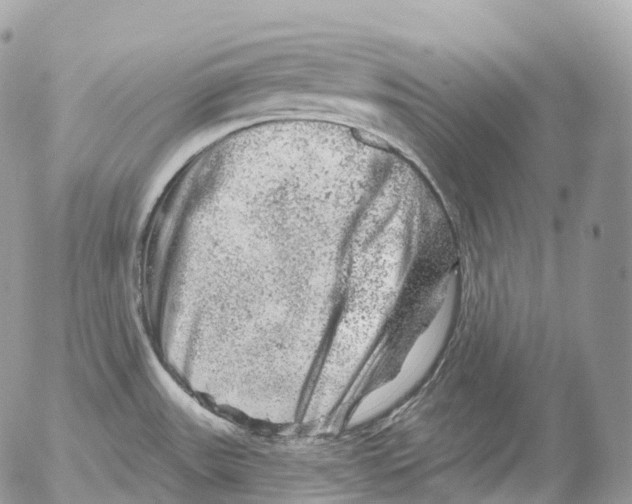 X0000052641531200507292252