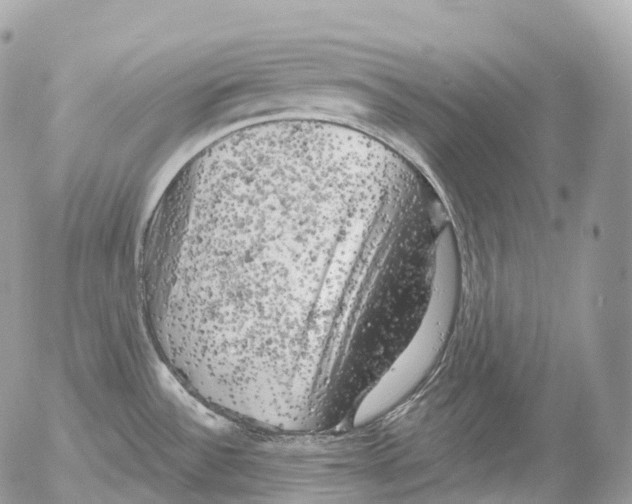 X0000052641532200507292252