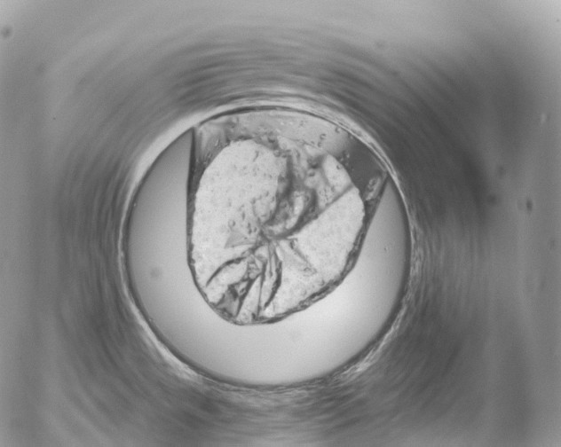 X0000052641533200507292252