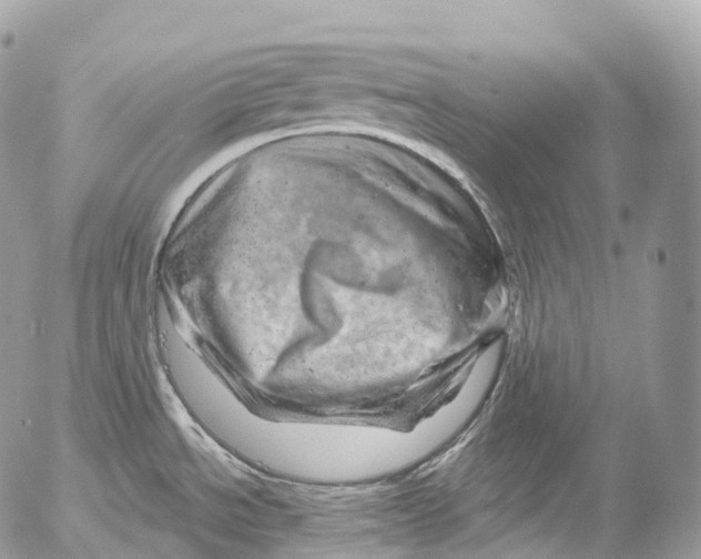 X0000052641534200507292252