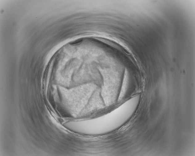 X0000052641535200507292252