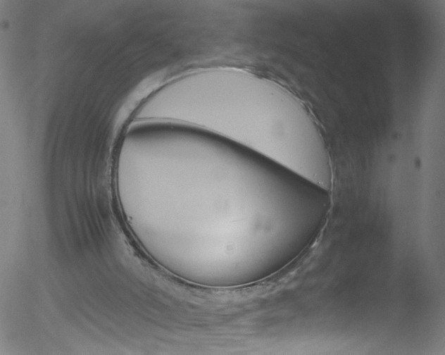 X0000052650006200507011044