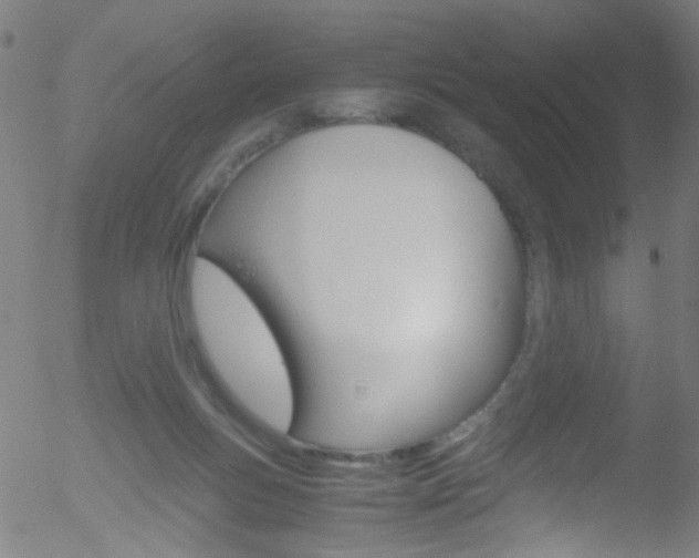 X0000052650167200507011042