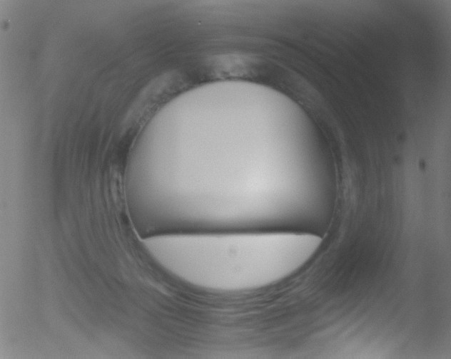 X0000052650169200507011042