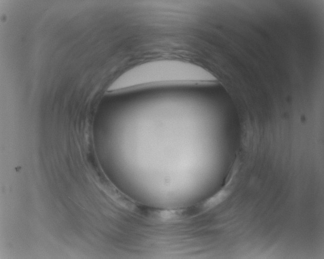 X0000052650184200507011042