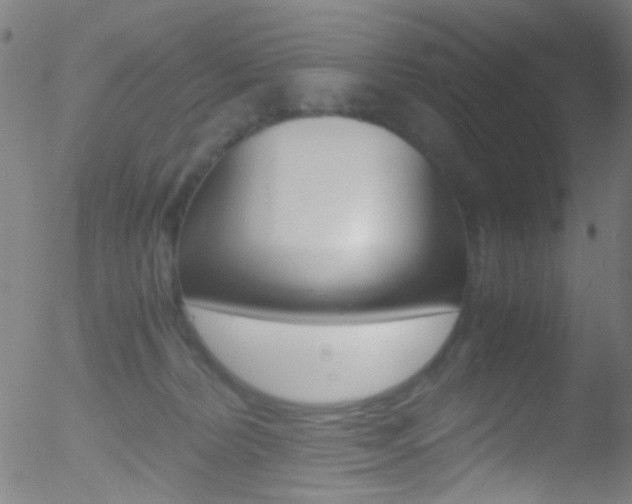 X0000052650228200507011041