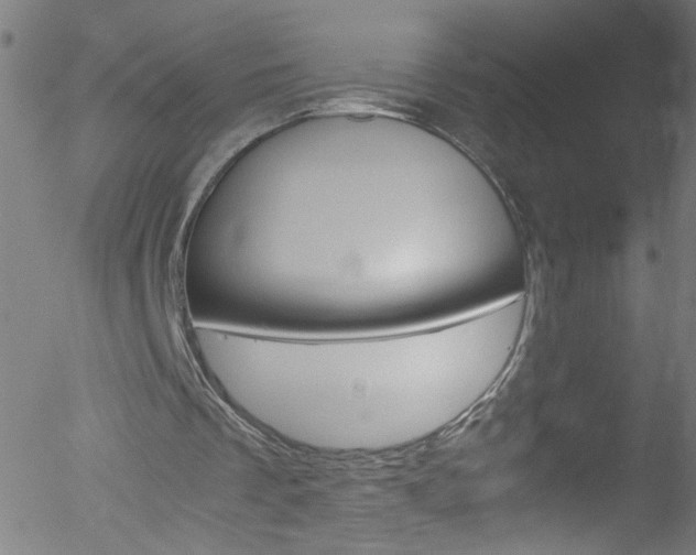X0000052650289200507011040