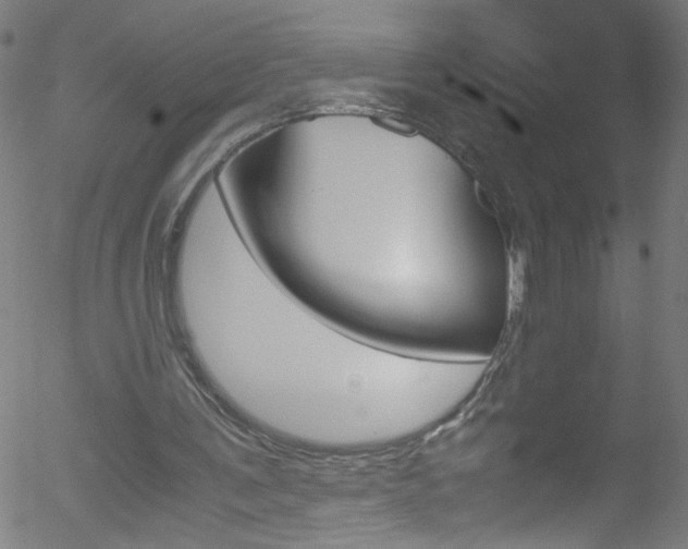 X0000052650291200507011040