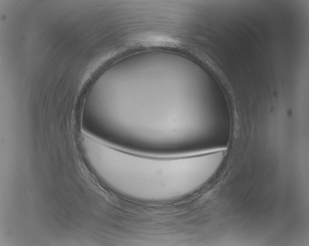 X0000052650391200507011038