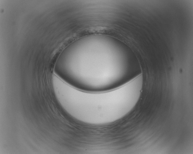X0000052650508200507011036