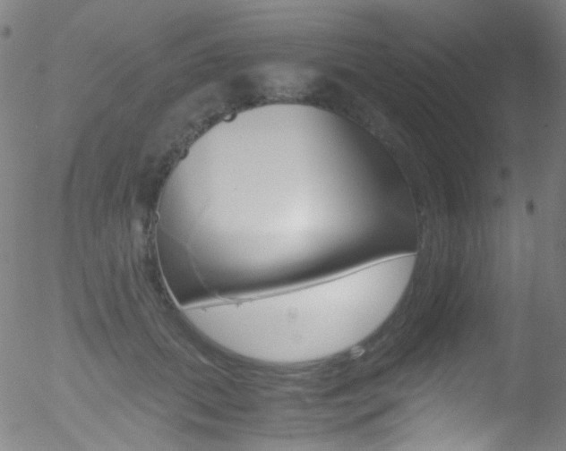 X0000052650655200507011034
