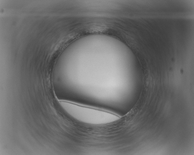 X0000052650743200507011032
