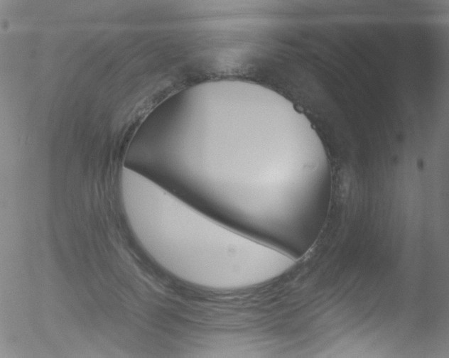 X0000052650746200507011032