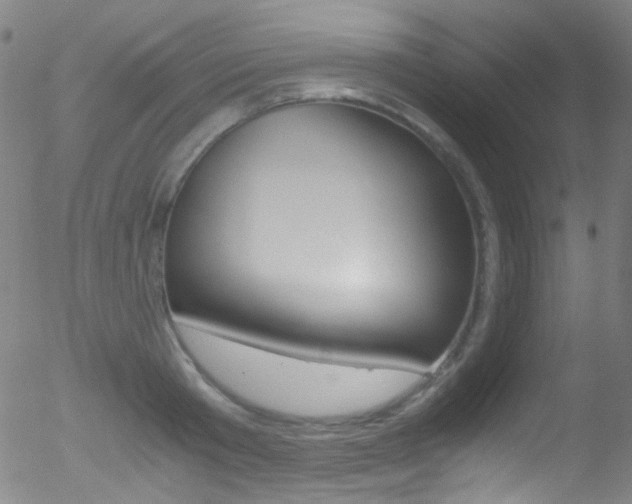 X0000052650801200507011031