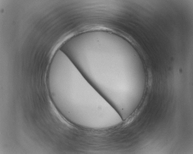 X0000052650806200507011031
