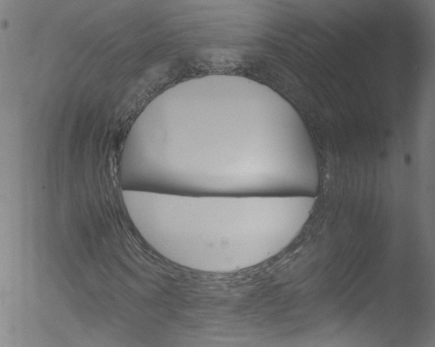 X0000052650866200507011030
