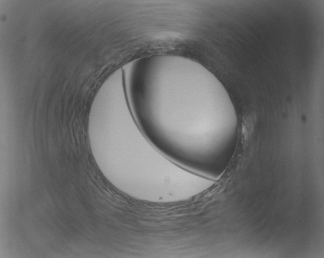 X0000052650867200507011030