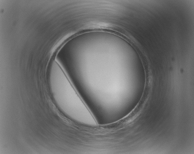 X0000052650885200507011030
