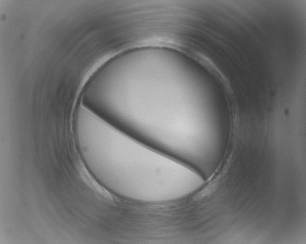X0000052650900200507011030
