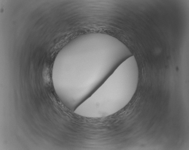 X0000052650962200507011029